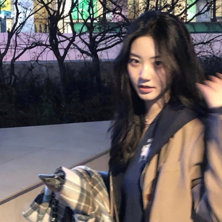 丝黛芬妮